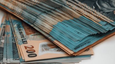 Romanya LEI Para Birimi Banknotu. RON Para Avrupa Para Birimi