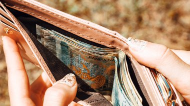 Romanya LEI Para Birimi Banknotu. RON Para Avrupa Para Birimi