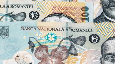 Romanya LEI Para Birimi Banknotu. RON Para Avrupa Para Birimi