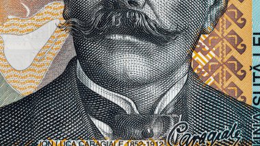 Romanya LEI Para Birimi Banknotu. RON Para Avrupa Para Birimi
