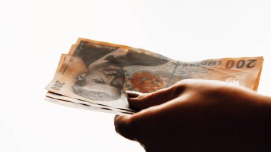 Romanya LEI Para Birimi Banknotu. RON Para Avrupa Para Birimi