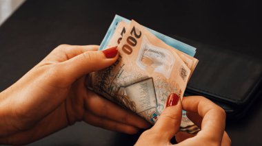 Romanya LEI Para Birimi Banknotu. RON Para Avrupa Para Birimi