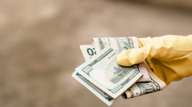 Amerikan Doları. ABD enflasyonu, ABD parası
