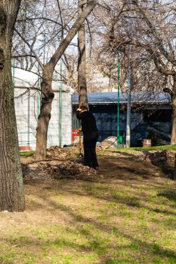 Tineretului park in Bucharest, Romania