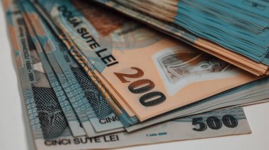 Romanya LEI Para Birimi Banknotu. RON Para Avrupa Para Birimi