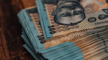 Romanya LEI Para Birimi Banknotu. RON Para Avrupa Para Birimi