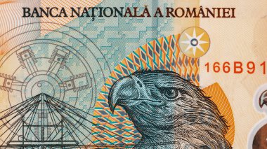Romanya LEI Para Birimi Banknotu. RON Para Avrupa Para Birimi
