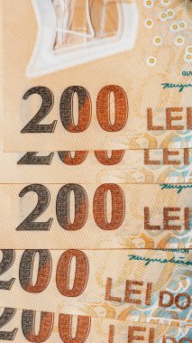 Romanya LEI Para Birimi Banknotu. RON Para Avrupa Para Birimi