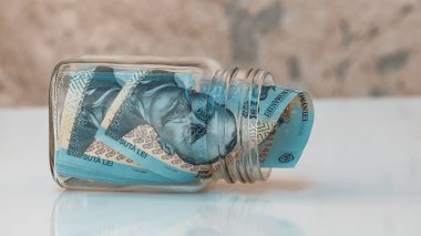 Romanya LEI Para Birimi Banknotu. RON Para Avrupa Para Birimi