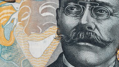 Romanya LEI Para Birimi Banknotu. RON Para Avrupa Para Birimi