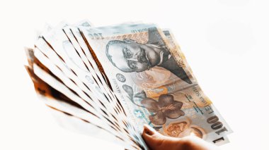 Romanya LEI Para Birimi Banknotu. RON Para Avrupa Para Birimi