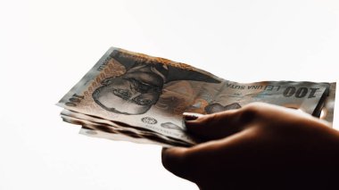 Romanya LEI Para Birimi Banknotu. RON Para Avrupa Para Birimi