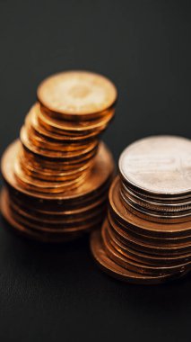 Romanya LEI Para Birimi Banknotu. RON Para Avrupa Para Birimi