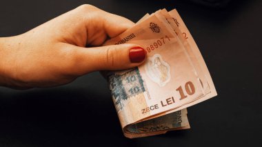 Romanya LEI Para Birimi Banknotu. RON Para Avrupa Para Birimi