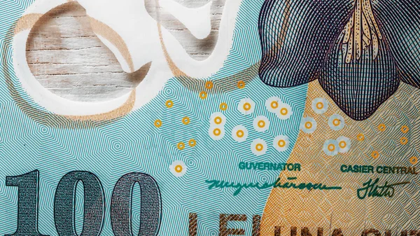 루마니아어 Lei Currency Banknote — 스톡 사진