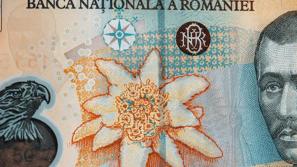 Roemeense Lei Bankbiljetten Ron Geld Europese Valuta — Stockfoto