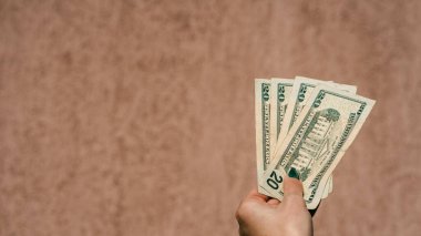 Amerikan Doları. ABD enflasyonu, ABD parası