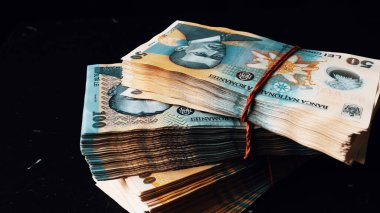 Romanya LEI Para Birimi Banknotu. RON Para Avrupa Para Birimi