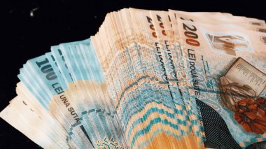 Romanya LEI Para Birimi Banknotu. RON Para Avrupa Para Birimi