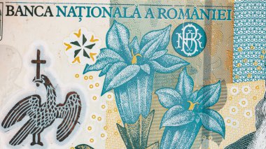 Romanya LEI Para Birimi Banknotu. RON Para Avrupa Para Birimi