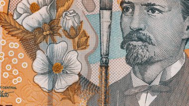 Romanya LEI Para Birimi Banknotu. RON Para Avrupa Para Birimi