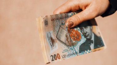 Romanya LEI Para Birimi Banknotu. RON Para Avrupa Para Birimi