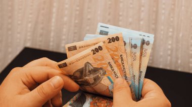 Romanya LEI Para Birimi Banknotu. RON Para Avrupa Para Birimi