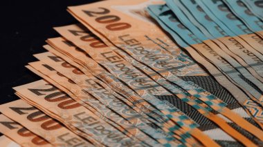 Romanya LEI Para Birimi Banknotu. RON Para Avrupa Para Birimi