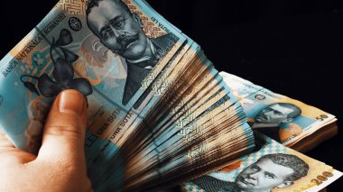 Romanya LEI Para Birimi Banknotu. RON Para Avrupa Para Birimi