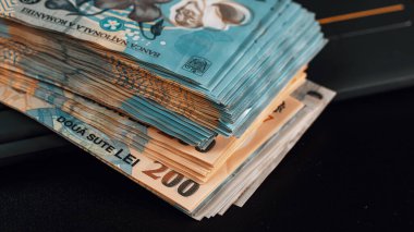 Romanya LEI Para Birimi Banknotu. RON Para Avrupa Para Birimi