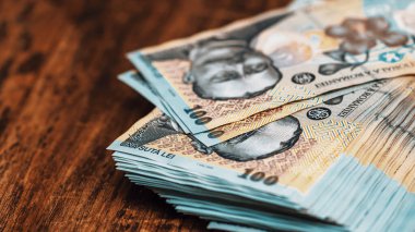 Romanya LEI Para Birimi Banknotu. RON Para Avrupa Para Birimi