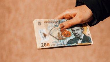 Romanya LEI Para Birimi Banknotu. RON Para Avrupa Para Birimi