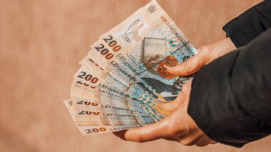Romanya LEI Para Birimi Banknotu. RON Para Avrupa Para Birimi