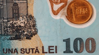 Romanya LEI Para Birimi Banknotu. RON Para Avrupa Para Birimi