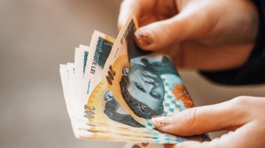 Romanya LEI Para Birimi Banknotu. RON Para Avrupa Para Birimi