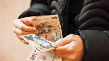 Romanya LEI Para Birimi Banknotu. RON Para Avrupa Para Birimi