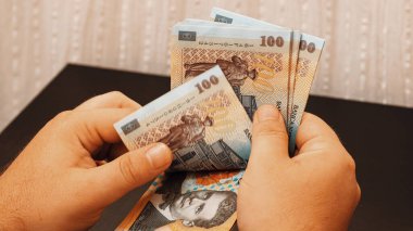 Romanya LEI Para Birimi Banknotu. RON Para Avrupa Para Birimi