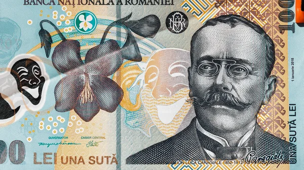 루마니아어 Lei Currency Banknote — 스톡 사진