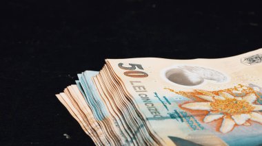 Romanya LEI Para Birimi Banknotu. RON Para Avrupa Para Birimi