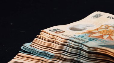Romanya LEI Para Birimi Banknotu. RON Para Avrupa Para Birimi