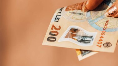 Romanya LEI Para Birimi Banknotu. RON Para Avrupa Para Birimi