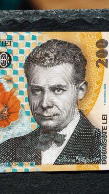 Romanya LEI Para Birimi Banknotu. RON Para Avrupa Para Birimi