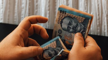 Romanya LEI Para Birimi Banknotu. RON Para Avrupa Para Birimi