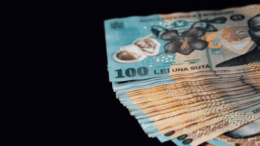 Romanya LEI Para Birimi Banknotu. RON Para Avrupa Para Birimi