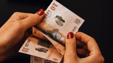 Romanya LEI Para Birimi Banknotu. RON Para Avrupa Para Birimi
