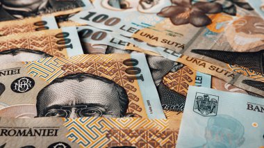 Romanya LEI Para Birimi Banknotu. RON Para Avrupa Para Birimi