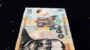 Romanya LEI Para Birimi Banknotu. RON Para Avrupa Para Birimi