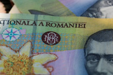 RON Leu Para Avrupa Para Birimi