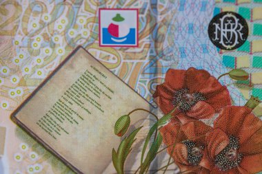 RON Leu Para Avrupa Para Birimi