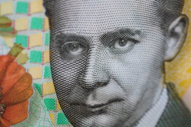 RON Leu Para Avrupa Para Birimi